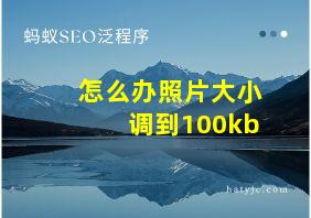 怎么办照片大小调到100kb