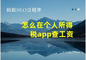 怎么在个人所得税app查工资