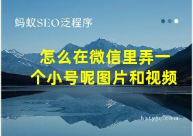 怎么在微信里弄一个小号呢图片和视频