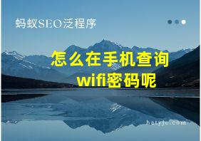 怎么在手机查询wifi密码呢