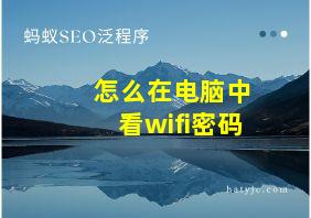 怎么在电脑中看wifi密码