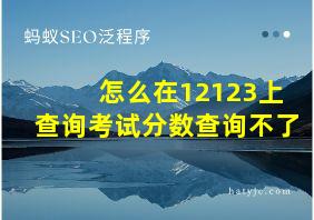 怎么在12123上查询考试分数查询不了