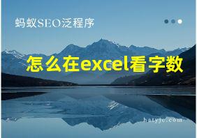 怎么在excel看字数