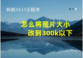 怎么将图片大小改到300k以下