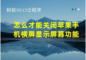 怎么才能关闭苹果手机横屏显示屏幕功能