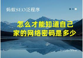 怎么才能知道自己家的网络密码是多少