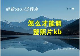 怎么才能调整照片kb