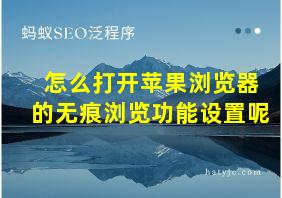 怎么打开苹果浏览器的无痕浏览功能设置呢