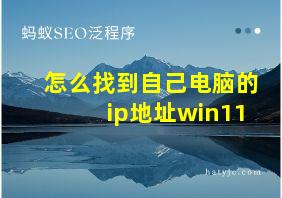 怎么找到自己电脑的ip地址win11