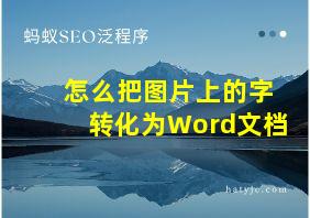 怎么把图片上的字转化为Word文档