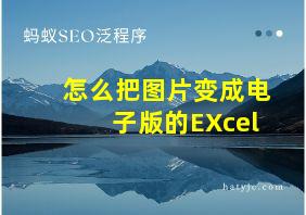 怎么把图片变成电子版的EXcel