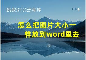 怎么把图片大小一样放到word里去