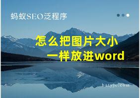 怎么把图片大小一样放进word