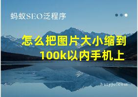 怎么把图片大小缩到100k以内手机上