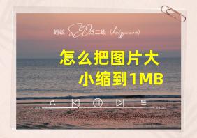 怎么把图片大小缩到1MB