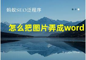 怎么把图片弄成word