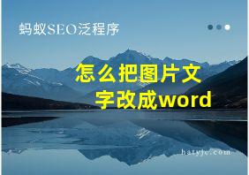 怎么把图片文字改成word