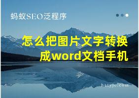 怎么把图片文字转换成word文档手机