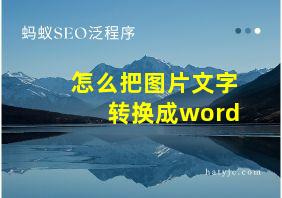 怎么把图片文字转换成word