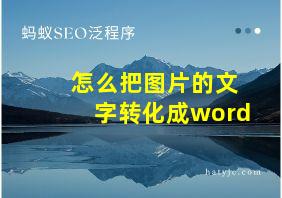 怎么把图片的文字转化成word