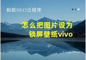 怎么把图片设为锁屏壁纸vivo