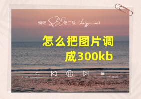 怎么把图片调成300kb