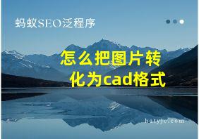 怎么把图片转化为cad格式