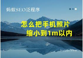 怎么把手机照片缩小到1m以内