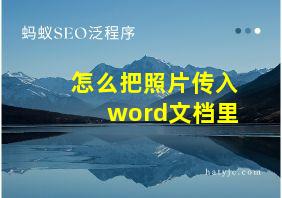 怎么把照片传入word文档里