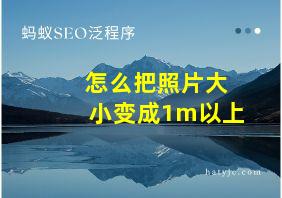 怎么把照片大小变成1m以上