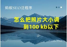 怎么把照片大小调到100 kb以下