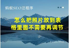 怎么把照片放到表格里面不需要再调节