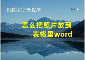 怎么把照片放到表格里word