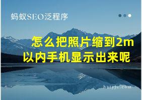 怎么把照片缩到2m以内手机显示出来呢