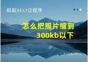 怎么把照片缩到300kb以下