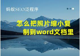 怎么把照片缩小复制到word文档里