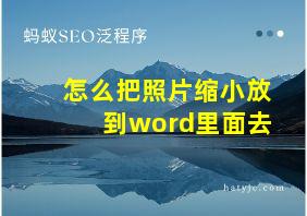 怎么把照片缩小放到word里面去