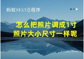 怎么把照片调成1寸照片大小尺寸一样呢