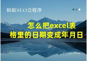 怎么把excel表格里的日期变成年月日