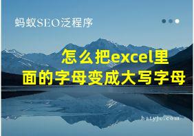 怎么把excel里面的字母变成大写字母