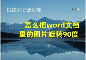 怎么把word文档里的图片旋转90度