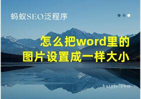 怎么把word里的图片设置成一样大小