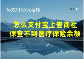 怎么支付宝上查询社保查不到医疗保险余额