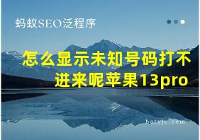 怎么显示未知号码打不进来呢苹果13pro