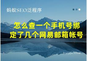 怎么查一个手机号绑定了几个网易邮箱帐号