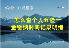 怎么查个人五险一金缴纳时间记录明细