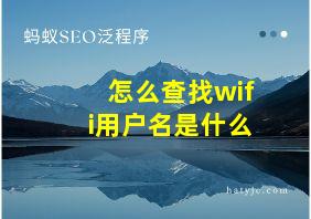 怎么查找wifi用户名是什么