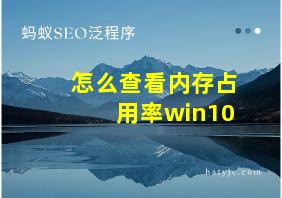 怎么查看内存占用率win10