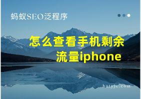 怎么查看手机剩余流量iphone