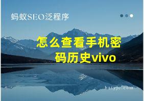 怎么查看手机密码历史vivo